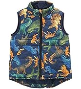 MOMOLAND Little Boys Front Zip Dinosaur Sleeveless Warm Padded Vest, Outerwear