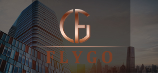 Flygo Brand