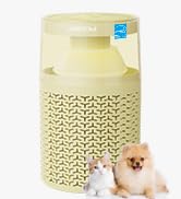 air purifier bedroom