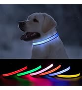 ROUWINNE Blue Light Up Dog Collar for Small Dogs, Rechargeable LED Dog Collars, Waterproof Nylon ...