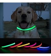 ROUWINNE Light Up Dog Collar for Small Medium Large Dogs - Cute Personalized Dog Collar, Recharge...