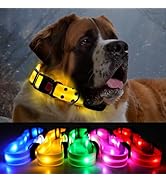ROUWINNE Led Glowing Dog Collars Rechargeable, Light Up Dog Collar Adjustable, Glow Dog Collar Wa...