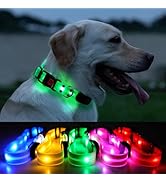 ROUWINNE Lighted Dog Collars for Night Waterproof, Glowing Dog Collars, USB Rechargeable Led Ligh...