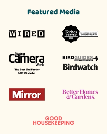 brand story