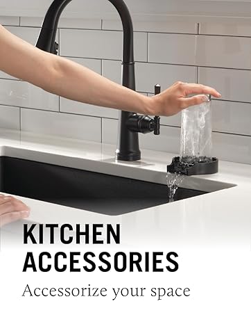 Glass Rinser, Garbage Disposal, Push Button, Air Gap, Sink Strainer
