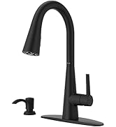 Pfister Barulli 1-Handle Pull-Down Kitchen Faucet with Soap Dispenser in Matte Black