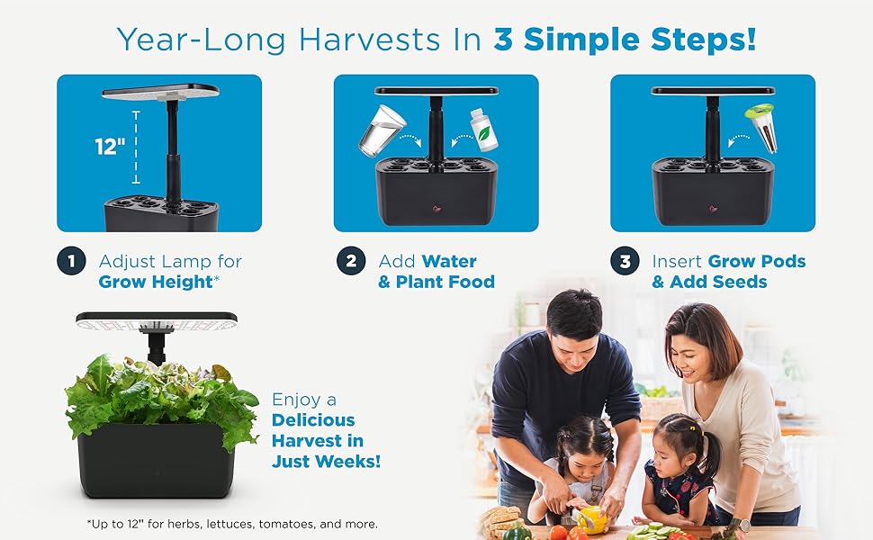 Year-Long Harvests in 3 Simple Steps