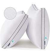 Bedsure Queen Pillows Set of 2 - Fluffy Hotel Quality Bed Pillows with Diamond Quilted Design, Gu...